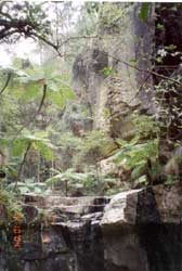 Click to display picture 