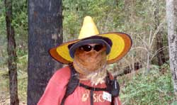 Click to display picture 