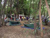 Click to display picture 