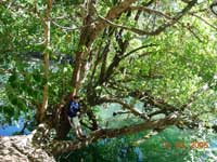 Click to display picture 