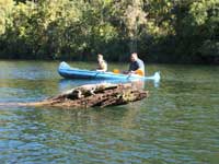 Click to display picture 