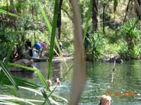 Click to display picture 