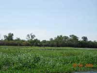 Click to display picture 