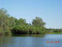 Click to display picture 