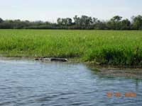 Click to display picture 