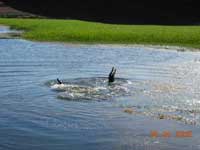 Click to display picture 