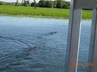 Click to display picture 