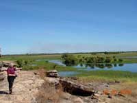 Click to display picture 