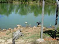 Click to display picture 