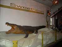 Click to display picture 