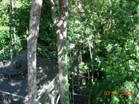 Click to display picture 