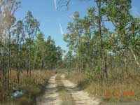 Click to display picture 