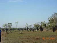 Click to display picture 