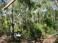 Click to display picture 