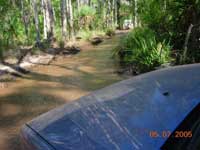 Click to display picture 