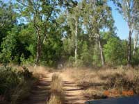 Click to display picture 