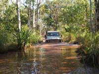 Click to display picture 