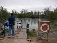 Click to display picture 