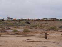 Click to display picture 