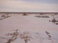 Click to display picture 