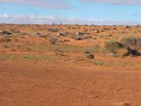 Click to display picture 