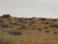 Click to display picture 