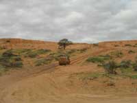 Click to display picture 