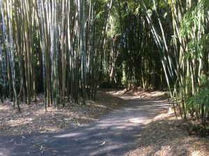 Bambooland
